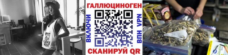 Псилоцибиновые грибы Magic Shrooms  где продают наркотики  Кяхта 